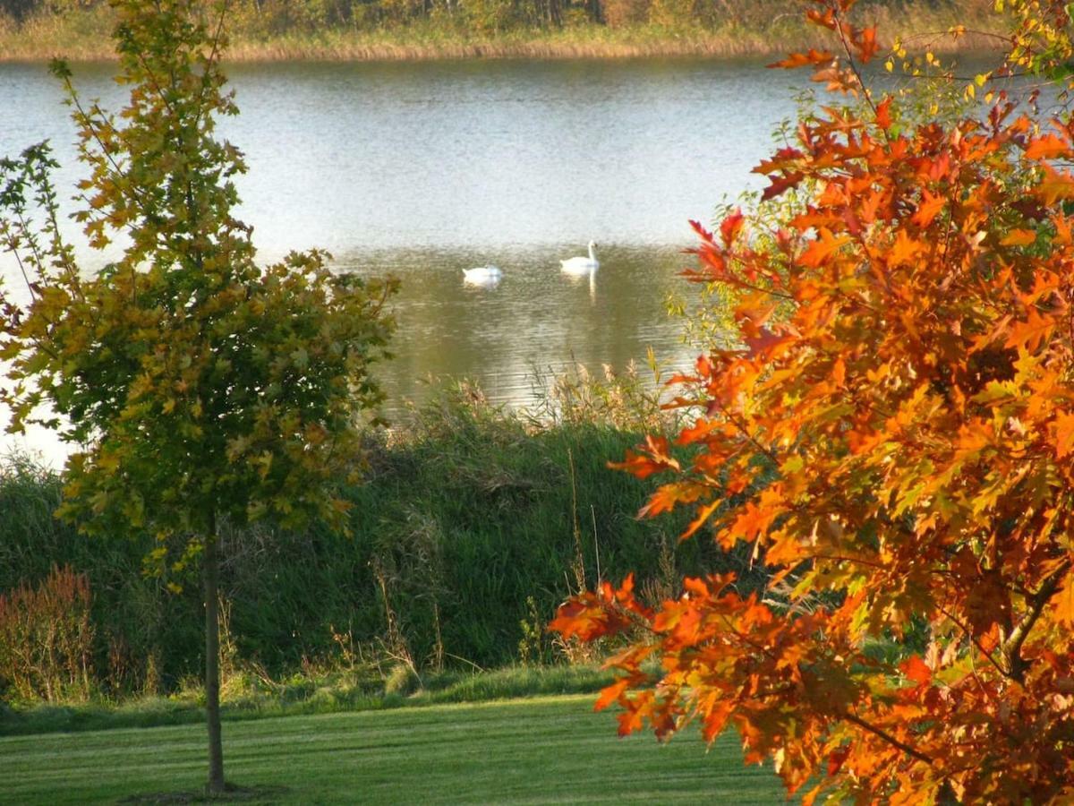 Obora 827 Nova Bystrice Villa Bagian luar foto